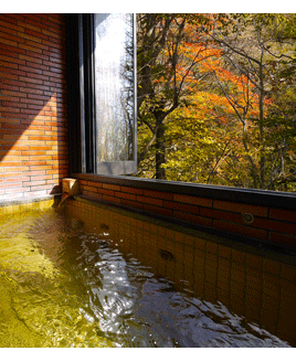 落ち着いた雰囲気の山の湯