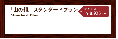 スタンダードプラン